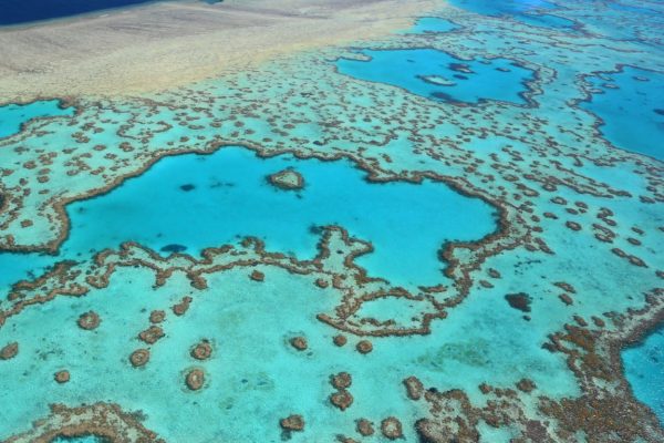 Great Barrier Reef Scenic Flight
