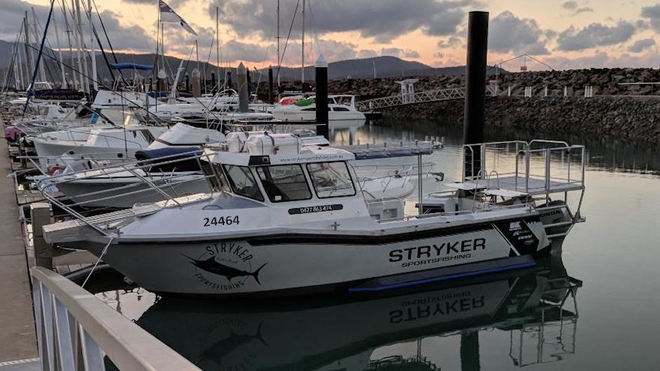 Sightseeing tour around Airlie Beach in Van