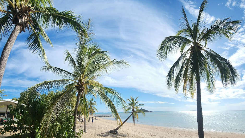 Dingo Beach & Cape Gloucester van tour Guided land tours deals