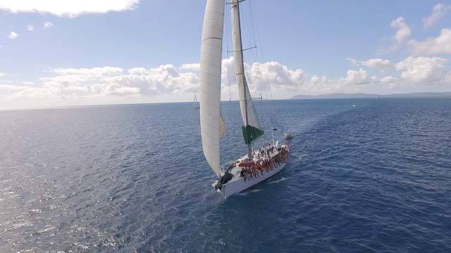Spank Me Whitsundays Sailing Tour Discounted With Promo Code