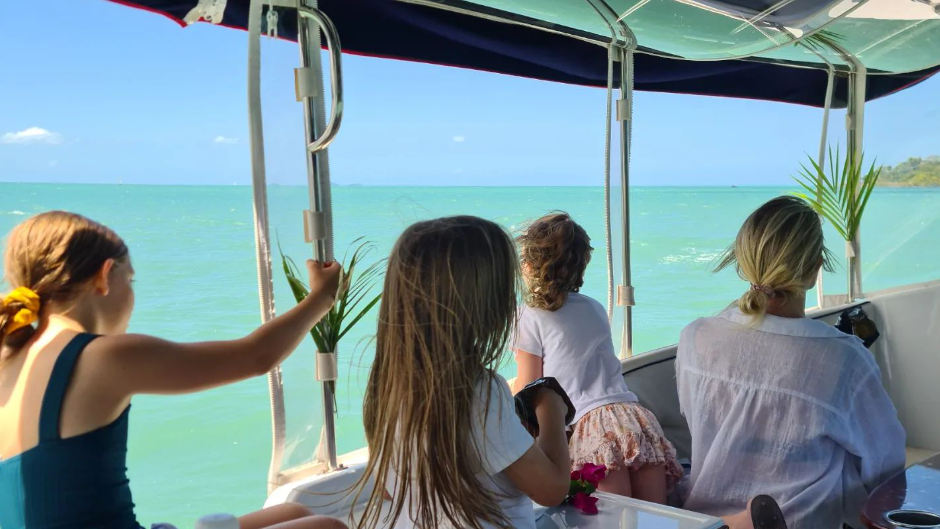 Electric boat turtle cruise with massive discounts!