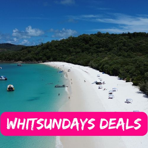 where to find last minute whitsundays deals