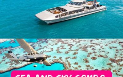 Sea & Sky Combo: Best Value Tour in the Whitsundays